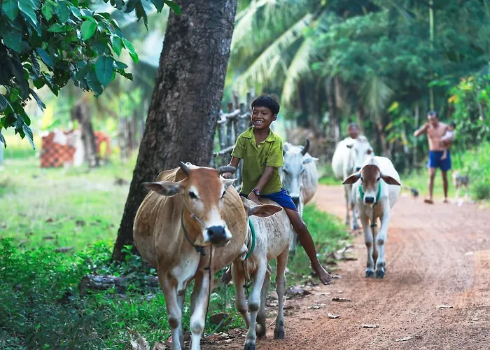 Séjour chez l'habitant Chansor 8 By Siem Reap Homesteading *