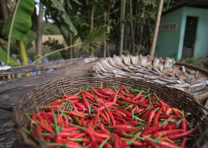 Chansor 8 By Siem Reap Homesteading