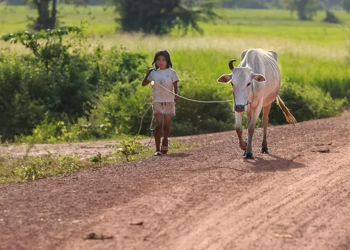 Chansor 8 By Siem Reap Homesteading Phumi Trach Pok